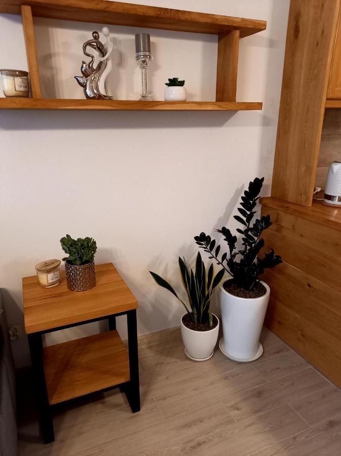 Starogard Gdański Apartament Green Park מראה חיצוני תמונה